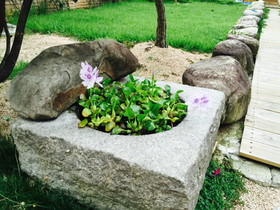 Taejomaru