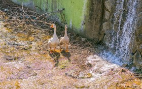 Byeokdosan Hwangtobonga Pension