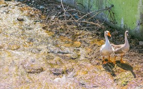 Byeokdosan Hwangtobonga Pension
