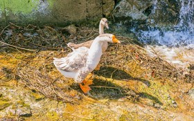 Byeokdosan Hwangtobonga Pension