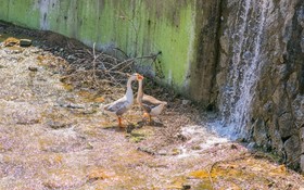 Byeokdosan Hwangtobonga Pension