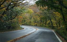 Gyeongju Alice Pension