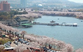 Gyeongju Bonjour Pension