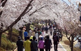 Gyeongju Bonjour Pension