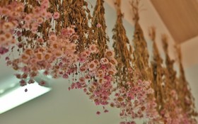 Gyeongju Tenderness Pension