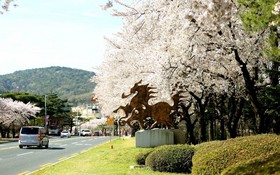 Gyeongju The Joeun Pension