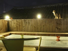 Sindal House