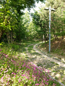 The-K Hotel Gyeongju