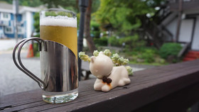 Dasup Pension