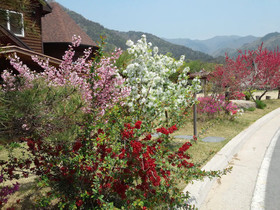 Muju Ecoville