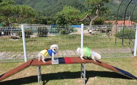 Muju Inca Pets Friendly Pension