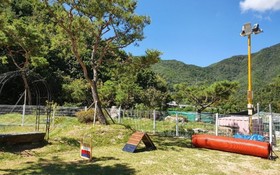 Muju Inca Pets Friendly Pension