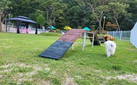 Muju Inca Pets Friendly Pension