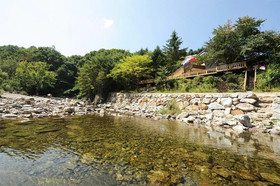 Shiny Town Pension