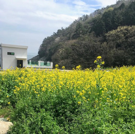 Lim Sea Side Poolvilla Pension