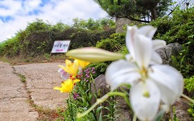 Namhae Baramkkot Pension