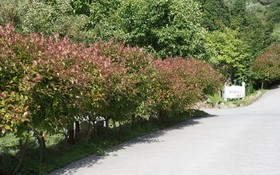 Namhae Cape Town Pension