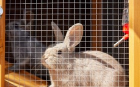 Namhae German Village Hercules Pension