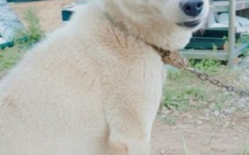 Namhae Jun Stay Pension