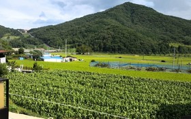 Namhae Jun Stay Pension