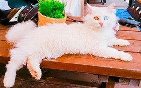 Namhae Jun Stay Pension