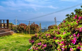 Namhae Macaron Pension