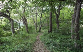 Namhae Memory Plus Bed and Breakfast