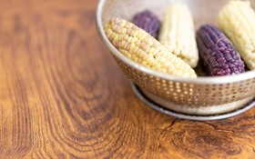 Namhaeseommaeulbada Pension