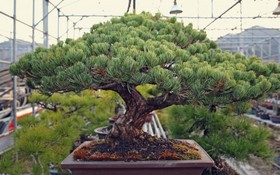 Namhae Wolpo Pension