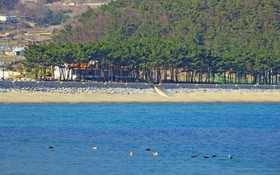 Namhae Wolpo Pension