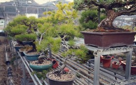 Namhae Wolpo Pension