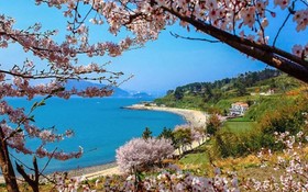 Namhae Zen House Pension