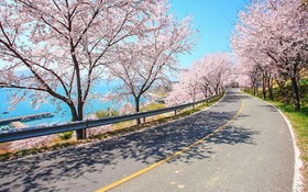 Namhae Zen House Pension