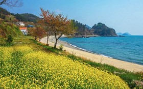 Namhae Zen House Pension
