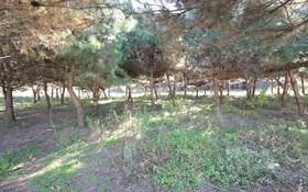 Paju Bau Garden Pension