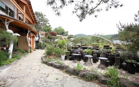 Paju Terra Pension