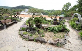 Paju Terra Pension
