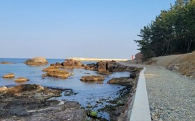 Healing House Pension