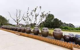 Healing House Pension