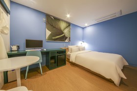 Hotel Raza B