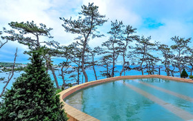 Pinewave Sea & Spa Pension