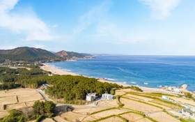 Pohang Badahyanggi Pension