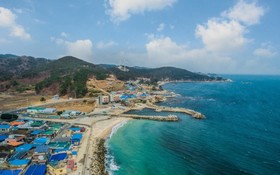 Pohang Blue Coral Pension
