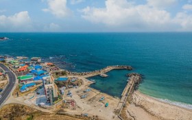 Pohang Blue Coral Pension