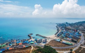 Pohang Blue Coral Pension
