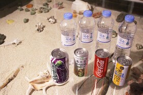 Pohang Jukdo Market Tahiti