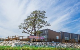 Pohang Sea and Tree Pension