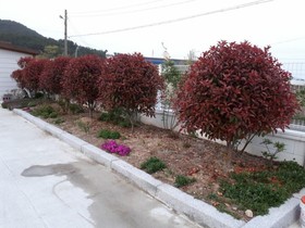 Pohang Seagull Pension