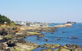 Pohang View 141 Pension