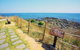 Pohang View 141 Pension